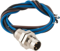 Brad Harrison - 4 Amp, M8 Male Straight Receptacle - 60 VAC, 75 VDC, 0.30m Cable Length, IP67 Ingress Rating - Exact Tooling