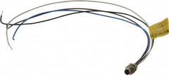 Brad Harrison - 4 Amp, M8 Male Straight Receptacle - 60 VAC, 75 VDC, 0.30m Cable Length, IP67 Ingress Rating - Exact Tooling