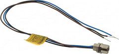 Brad Harrison - 4 Amp, M8 Female Straight Receptacle - 60 VAC, 75 VDC, 0.30m Cable Length, IP67 Ingress Rating - Exact Tooling