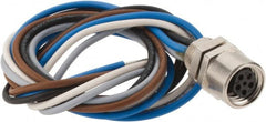 Brad Harrison - 3 Amp, M8 Female Straight Receptacle - 60 VAC, 75 VDC, 0.30m Cable Length, IP67 Ingress Rating - Exact Tooling