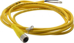 Brad Harrison - 4 Amp, M12 Female Straight to Pigtail Cordset Sensor and Receptacle - 250 VAC/VDC, 2m Cable Length, IP67 Ingress Rating - Exact Tooling