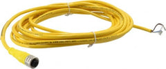 Brad Harrison - 4 Amp, M12 Female Straight to Pigtail Cordset Sensor and Receptacle - 250 VAC/VDC, 5m Cable Length, IP67 Ingress Rating - Exact Tooling