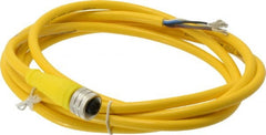 Brad Harrison - 4 Amp, M12 Female Straight to Pigtail Cordset Sensor and Receptacle - 250 VAC/VDC, 2m Cable Length, IP67 Ingress Rating - Exact Tooling