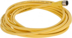 Brad Harrison - 4 Amp, M12 Female Straight to Pigtail Cordset Sensor and Receptacle - 250 VAC/VDC, 5m Cable Length, IP67 Ingress Rating - Exact Tooling