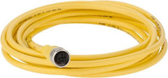 Brad Harrison - Female Straight Cordset Sensor and Receptacle - 250 VAC/VDC, 4m Cable Length, IP68 Ingress Rating - Exact Tooling