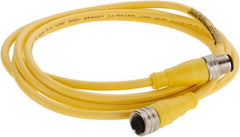 Brad Harrison - Female to Male Cordset Sensor and Receptacle - 250 VAC/VDC, 2m Cable Length, IP68 Ingress Rating - Exact Tooling