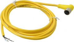 Brad Harrison - 4 Amp, M12 Female 90° to Pigtail Cordset Sensor and Receptacle - 250 VAC/VDC, 2m Cable Length, IP67 Ingress Rating - Exact Tooling