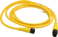 Brad Harrison - Female to Male Cordset Sensor and Receptacle - 250 VAC/VDC, 6 Ft. Long Cable, IP68 Ingress Rating - Exact Tooling