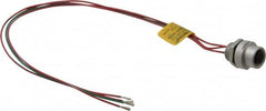 Brad Harrison - 4 Amp, 1/2-20 UNF Female Straight Receptacle - 250 VAC/VDC, 0.31m Cable Length, IP67 Ingress Rating - Exact Tooling