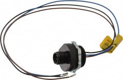 Brad Harrison - 4 Amp, M12 Male Straight Receptacle - 250 VAC/VDC, 0.31m Cable Length, IP67 Ingress Rating - Exact Tooling