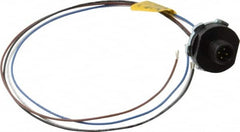 Brad Harrison - 4 Amp, M12 Male Straight Receptacle - 250 VAC/VDC, 0.31m Cable Length, IP67 Ingress Rating - Exact Tooling