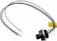 Brad Harrison - 4 Amp, M12 Male Straight Receptacle - 250 VAC/VDC, 0.31m Cable Length, IP67 Ingress Rating - Exact Tooling