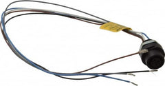 Brad Harrison - 4 Amp, M12 Female Straight Receptacle - 250 VAC/VDC, 0.31m Cable Length, IP67 Ingress Rating - Exact Tooling