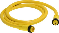 Brad Harrison - 7 Amp, Female Straight, Male Straight Cordset Sensor and Receptacle - 600 Volt, 1.83m Cable Length, IP67 Ingress Rating - Exact Tooling
