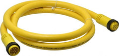 Brad Harrison - 5 Amp, Female Straight, Male Straight Cordset Sensor and Receptacle - 600 Volt, 1.83m Cable Length, IP67 Ingress Rating - Exact Tooling
