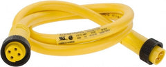 Brad Harrison - 10 Amp, Female Straight, Male Straight Cordset Sensor and Receptacle - 600 Volt, 0.91m Cable Length, IP67 Ingress Rating - Exact Tooling
