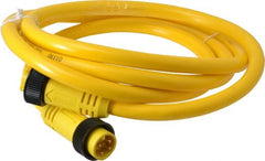 Brad Harrison - 10 Amp, Female Straight, Male Straight Cordset Sensor and Receptacle - 600 Volt, 1.83m Cable Length, IP67 Ingress Rating - Exact Tooling