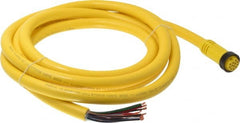 Brad Harrison - 5 Amp, Female Straight to Pigtail Cordset Sensor and Receptacle - 600 Volt, 3.66m Cable Length, IP67 Ingress Rating - Exact Tooling