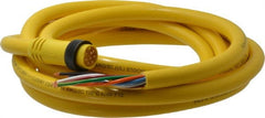 Brad Harrison - 7 Amp, Male Straight to Pigtail Cordset Sensor and Receptacle - 600 Volt, 3.66m Cable Length, IP67 Ingress Rating - Exact Tooling