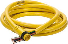 Brad Harrison - 7 Amp, Male Straight to Pigtail Cordset Sensor and Receptacle - 600 Volt, 3.66m Cable Length, IP67 Ingress Rating - Exact Tooling