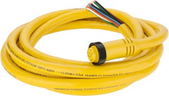 Brad Harrison - 7 Amp, Female Straight to Pigtail Cordset Sensor and Receptacle - 600 Volt, 3.66m Cable Length, IP67 Ingress Rating - Exact Tooling