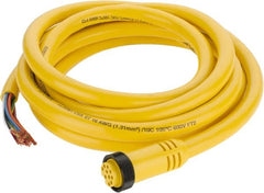 Brad Harrison - 7 Amp, Female Straight to Pigtail Cordset Sensor and Receptacle - 600 Volt, 3.66m Cable Length, IP67 Ingress Rating - Exact Tooling