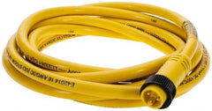 Brad Harrison - 13 Amp, Male Straight to Pigtail Cordset Sensor and Receptacle - 600 Volt, 3.66m Cable Length, IP67 Ingress Rating - Exact Tooling