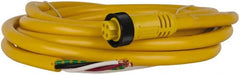 Brad Harrison - 10 Amp, Female Straight to Pigtail Cordset Sensor and Receptacle - 600 Volt, 3.66m Cable Length, IP67 Ingress Rating - Exact Tooling
