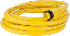 Brad Harrison - 8 Amp, Male Straight to Pigtail Cordset Sensor and Receptacle - 600 Volt, 3.66m Cable Length, IP67 Ingress Rating - Exact Tooling