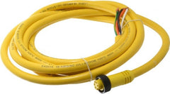 Brad Harrison - 8 Amp, Female Straight to Pigtail Cordset Sensor and Receptacle - 600 Volt, 3.66m Cable Length, IP67 Ingress Rating - Exact Tooling