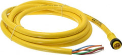Brad Harrison - 8 Amp, Male Straight to Pigtail Cordset Sensor and Receptacle - 600 Volt, 3.66m Cable Length, IP67 Ingress Rating - Exact Tooling