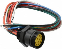 Brad Harrison - 7 Amp, Female Straight Receptacle - 600 VAC/VDC, 0.31m Cable Length, IP67 Ingress Rating - Exact Tooling