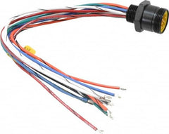Brad Harrison - 5 Amp, Male Straight Receptacle - 600 VAC/VDC, 0.31m Cable Length, IP67 Ingress Rating - Exact Tooling