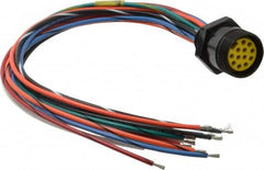 Brad Harrison - 8 Amp, Female Straight Receptacle - 600 VAC/VDC, 0.31m Cable Length, IP67 Ingress Rating - Exact Tooling