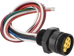 Brad Harrison - 8 Amp, Female Straight Receptacle - 600 VAC/VDC, 0.31m Cable Length, IP67 Ingress Rating - Exact Tooling