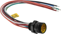 Brad Harrison - 7 Amp, Male Straight Receptacle - 600 VAC/VDC, 0.31m Cable Length, IP67 Ingress Rating - Exact Tooling