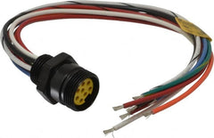 Brad Harrison - 7 Amp, Female Straight Receptacle - 600 VAC/VDC, 0.31m Cable Length, IP67 Ingress Rating - Exact Tooling