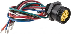 Brad Harrison - 7 Amp, Female Straight Receptacle - 600 VAC/VDC, 0.31m Cable Length, IP67 Ingress Rating - Exact Tooling