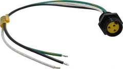 Brad Harrison - 13 Amp, Female Straight Receptacle - 600 VAC/VDC, 0.31m Cable Length, IP67 Ingress Rating - Exact Tooling