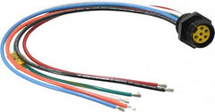 Brad Harrison - 8 Amp, Female Straight Receptacle - 600 VAC/VDC, 0.31m Cable Length, IP67 Ingress Rating - Exact Tooling