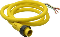 Brad Harrison - 15 Amp, Male Cordset Sensor and Receptacle - IP68 Ingress Rating - Exact Tooling