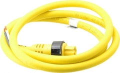 Brad Harrison - 15 Amp, Female Straight to Pigtail Cordset Sensor and Receptacle - 600 Volt, 1.83m Cable Length, IP67 Ingress Rating - Exact Tooling