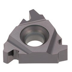 16IR8ACME AH725 TUNGTHREAD INS LD G - Exact Tooling
