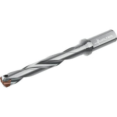 Walter - Replaceable-Tip Drills Series: D4140 Minimum Drill Diameter (mm): 19.00 - Exact Tooling