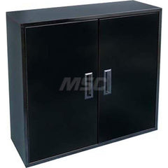 Platt & LaBonia - Storage Cabinets; Type: Utility Cabinets ; Width (Inch): 35-1/4 ; Depth (Inch): 12-1/2 ; Height (Inch): 30 ; Number of Shelves: 2 ; Material: Steel - Exact Tooling