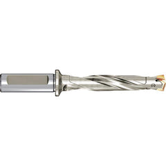 Replaceable Tip Drill: 1.2992 to 1.3346'' Drill Dia, 10.7031″ Max Depth Seat Size 0.4020, Through Coolant