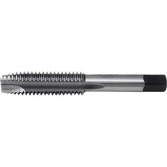 Cle-Line - 1/2-13 UNC3-Flute Bright Finish High Speed Steel Spiral Point Tap - Exact Tooling