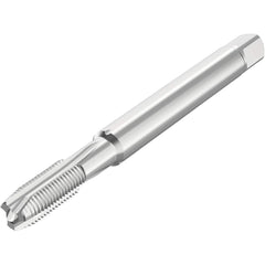 Seco - Spiral Point Taps Thread Size (mm): M6 Number of Flutes: 3 - Exact Tooling