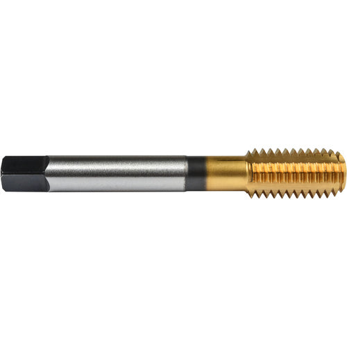 ‎1/4″- 20 Union Butterfield HSS-PM TiN Applix UNC UNC Machine Forming Tap ANSI E-code # 16411/4X20H6 - Exact Tooling