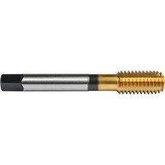 ‎1/4″- 20 Union Butterfield HSS-PM TiN Applix UNC UNC Machine Forming Tap ANSI E-code # 16411/4X20H6 - Exact Tooling